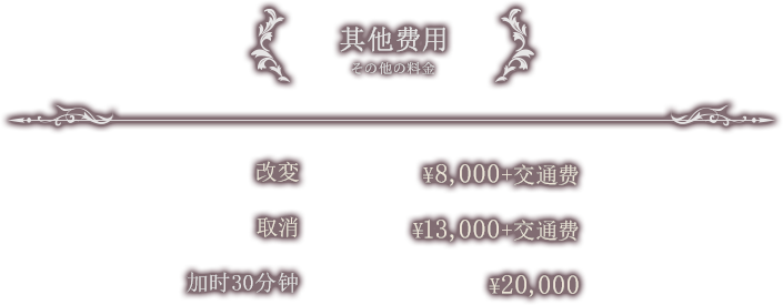 其他费用